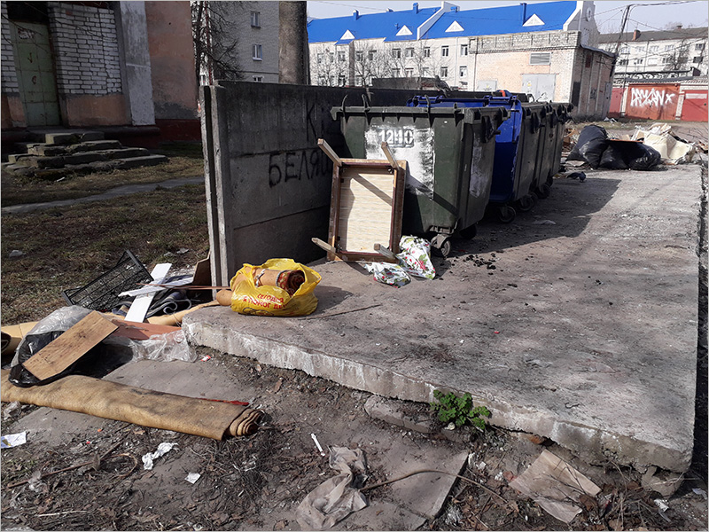 Раздельный сбор мусора в Брянске провалился: мусорщики переходят на городских помойках на дуальную систему
