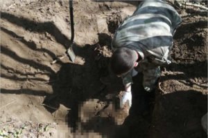 Брянские поисковики подняли останки красноармейца у посёлка Локоть