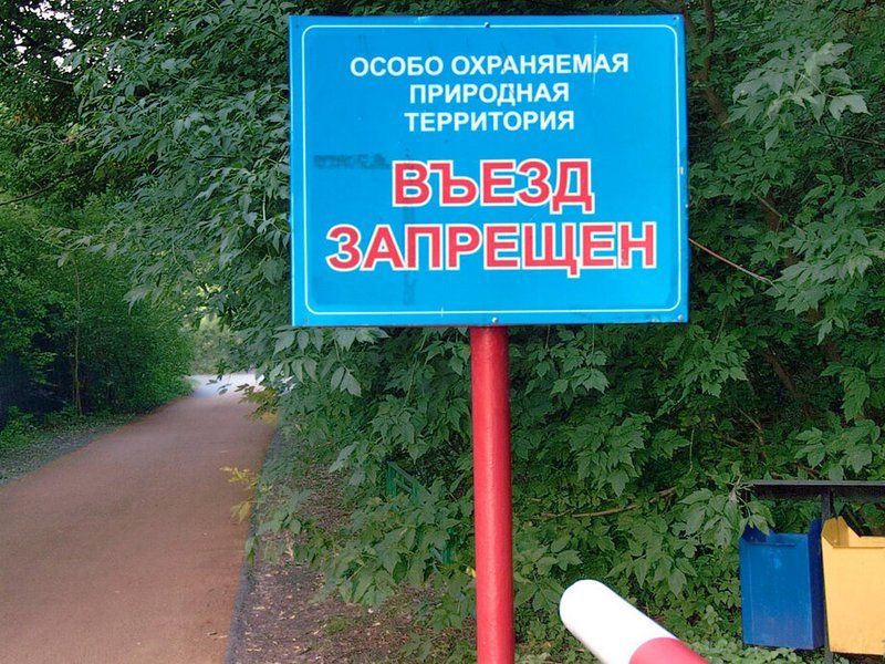 Российских автолюбителей предупредили о возможности «летнего» штрафа на полмиллиона рублей