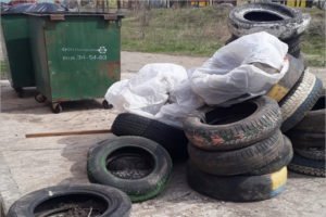 «Сдай шины – спаси бобра!»: брянский мусорный оператор бесплатно принимает шины с самодоставкой