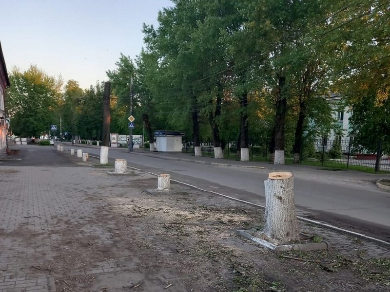 Современный и уютный туевый сквер: в Володарском районе Брянска по распоряжению массово вырублены деревья