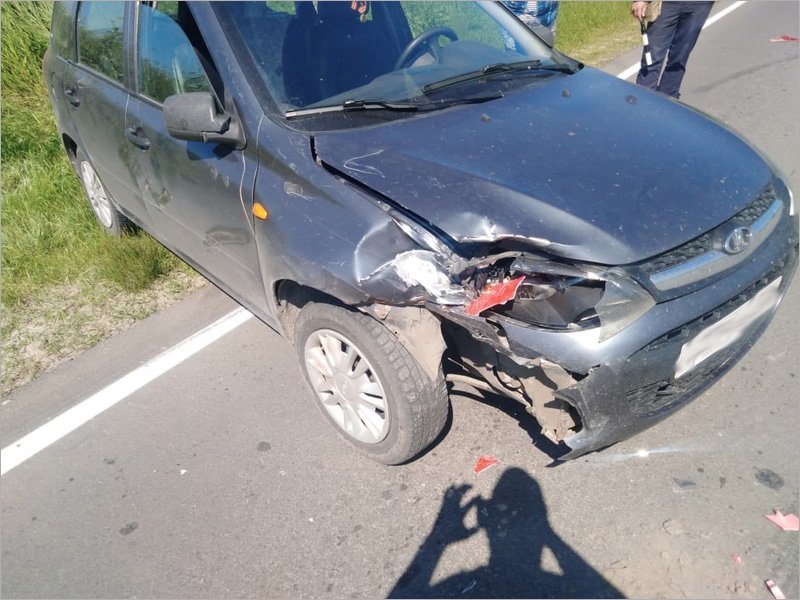 В Климовском районе в ДТП погиб  престарелый водитель мопеда
