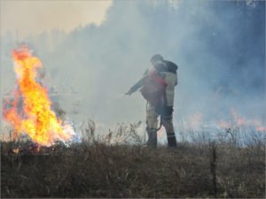 С начала года в Брянской области палы травы вызвали более 1,1 тыс. пожаров