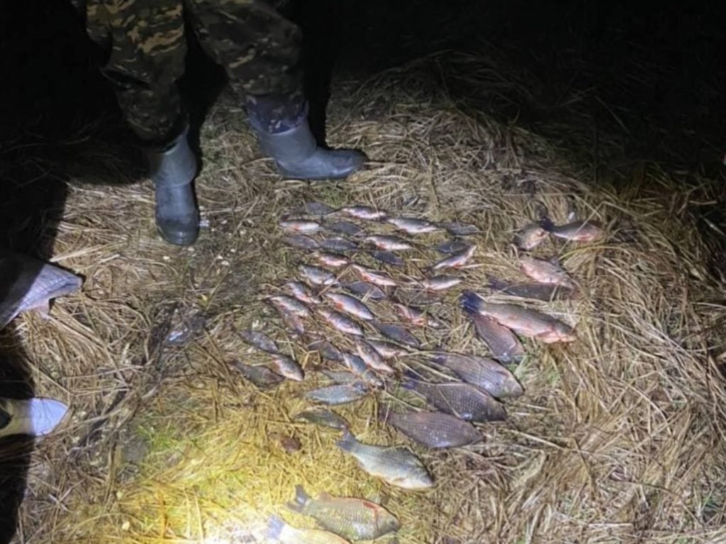 Операция «Браконьер»: брянская полиция изъяла около 100 рыбешек и 60 единиц оружия