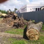 Работы на строительстве бассейна в Бежице вновь приостановлены