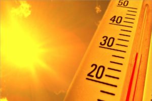 Второй за неделю температурный рекорд побит в Брянске