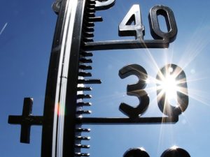 В Брянске  побит третий подряд рекорд июньской жары
