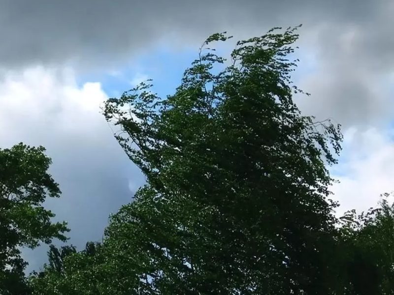 В Брянской области 28 мая ожидаются дожди, местами с грозами, и шквалистый ветер