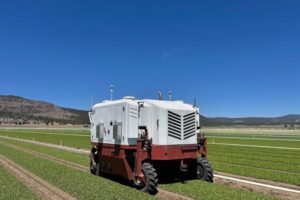 Bigdata вместо агронома, роботы вместо сборщиков: как технологии меняют сельское хозяйство