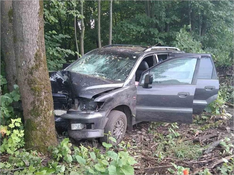 Женщина-водитель под Брянском протаранила дерево: трое получили травмы