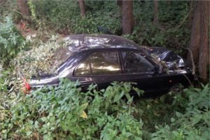 Под Новозыбковом водитель сломал шею, врезавшись в дерево