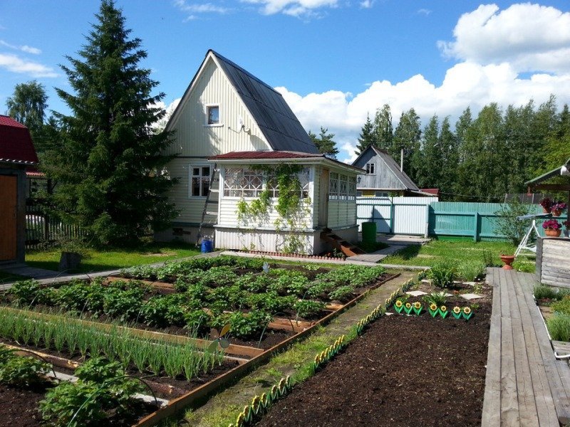 В России начали выдавать льготную ипотеку под 3% на дачи на сельских территориях