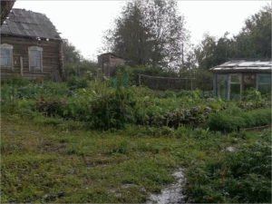 Съёмочная группа фильма «Огород» переехала из Курской области в Брянскую