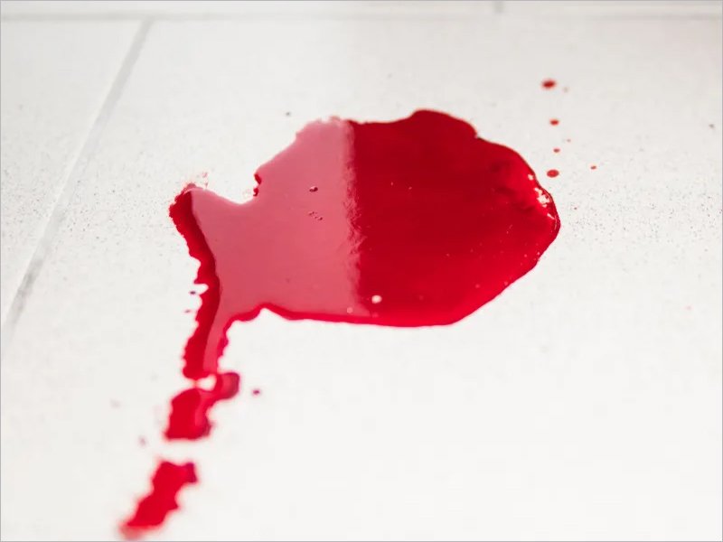 Трагедия в Фокино: мужчина убил бывшую жену и её спутника — и покончил с собой