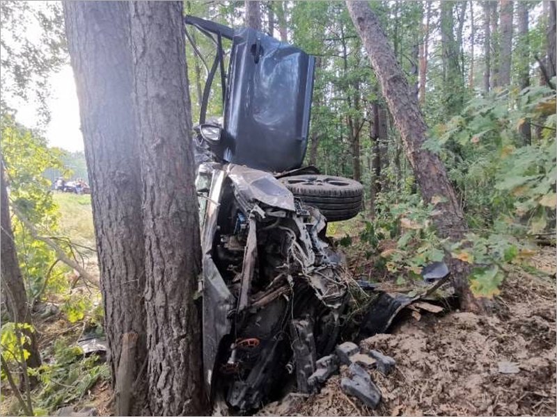 На местной дороге под Климово влетел в дерево и погиб водитель