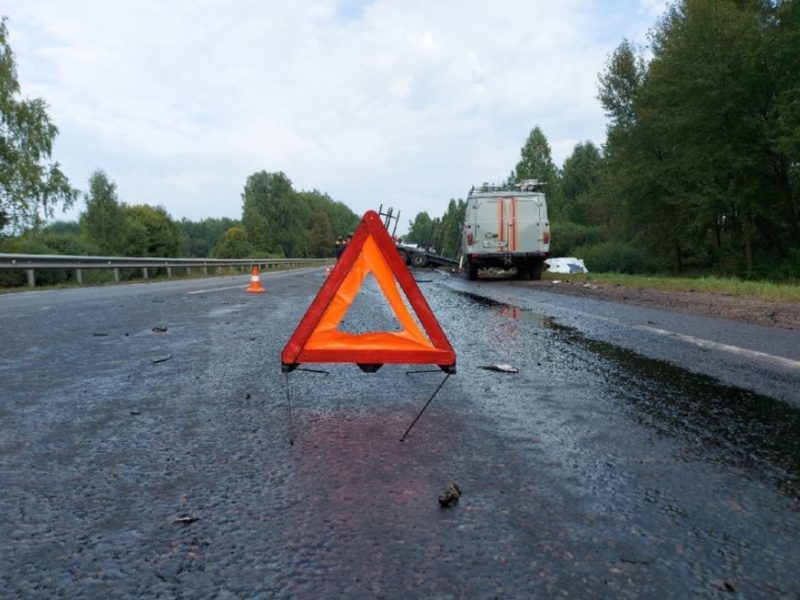 В лобовом ДТП с лесовозом в Брянской области погибли водитель легковушки без прав и его 22-летняя пассажирка