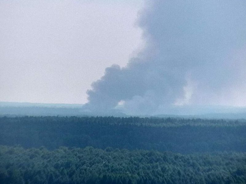 В Новозыбковском округе предотвратили лесной пожар