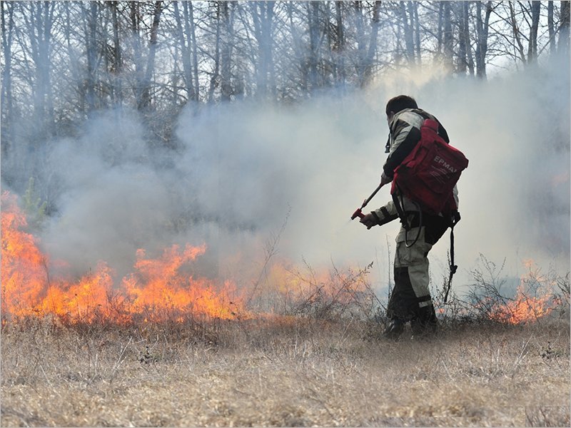 Возвращение массового психоза: брянские пожарные сообщили о первых случаях умышленного поджога сухой травы