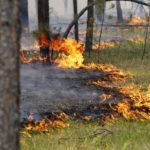 Госдума одобрила 10-кратное увеличение штрафов для виновников лесных пожаров