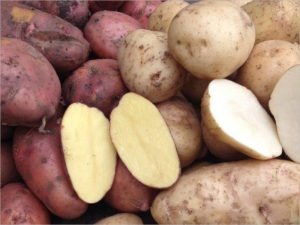 Жители Брянска на овощных базарах продолжают скупать картошку