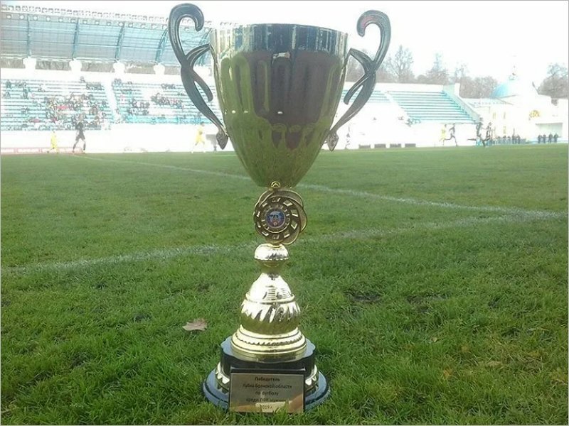 На Кубок Брянской области по футболу осталось четыре претендента