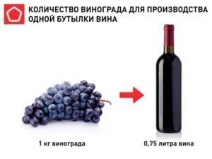 В России к ноябрю может сильно подорожать вино — не менее, чем на 30%