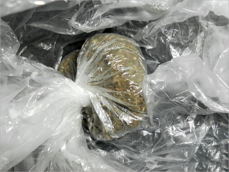 Брянские таможенники с начала года изъяли девять килограммов наркотиков