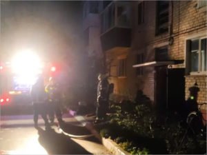 Два человека погибли в ночном пожаре в Сельцо