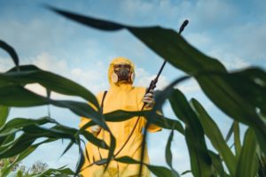 Прогресс или вред: опасны ли ГМО и почему их боятся?