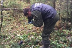 Брянские следователи проводят проверку по телу, обнаруженному грибниками под Карачевом