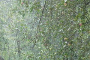Самый мокрый уик-энд в Брянске: за четыре дня выпало почти полторы месячных нормы осадков