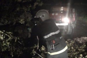 Суражские спасатели пилили дерево, чтобы доставить пациентку в больницу