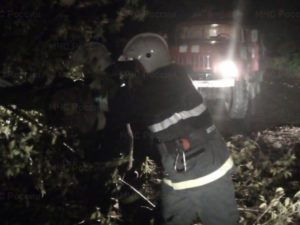 Суражские спасатели пилили дерево, чтобы доставить пациентку в больницу