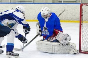 Хоккейный «Брянск» в двух матчах в Россоши смог зацепить только одно очко