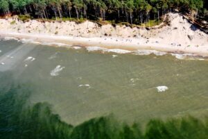 Балтийское море превращается в озеро с мутантами — экологи