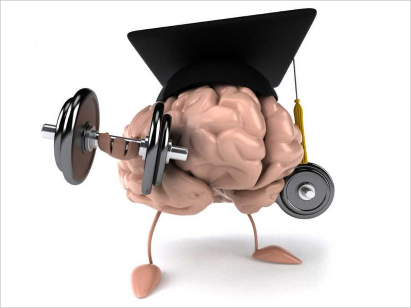 Как студенту прокачать мозг