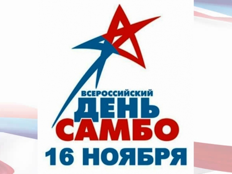 В Брянской области отмечают Всероссийский день самбо