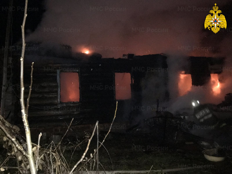 С начала года в пожарах в Брянской области погибли 15 человек