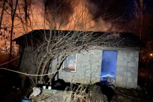 В ночных пожарах в Брянской области с начала года погибли 24 человека