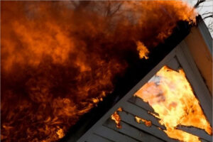 Пожары унесли в Брянской области 60 жизней с начала года