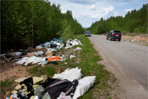 У жителей России предложили конфисковывать машины за незаконнный выброс мусора