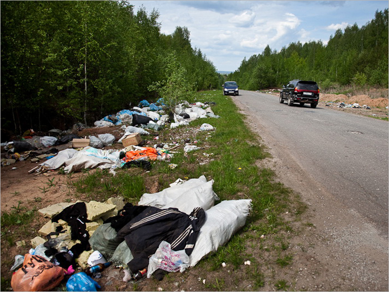 У жителей России предложили конфисковывать машины за незаконнный выброс мусора