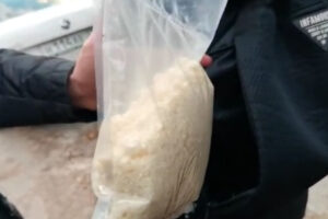 Брянская полиция задержала «грибника» с полкило «синтетики»
