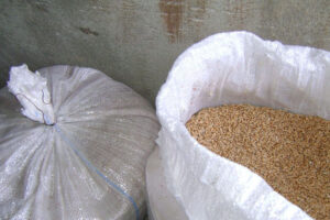 Сторож из Стародуба умыкнула со склада агрофирмы 12 мешков пшеницы