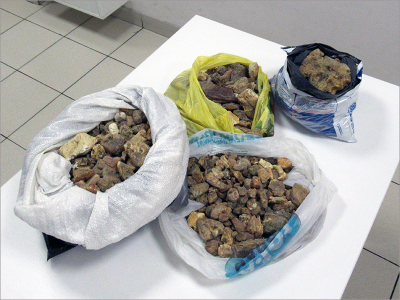 Брянские таможенники нашли у гражданина Турции 9,5 килограммов янтаря