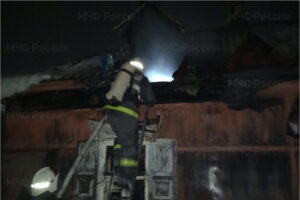В Почепе 52-летний мужчина сгорел в своём доме