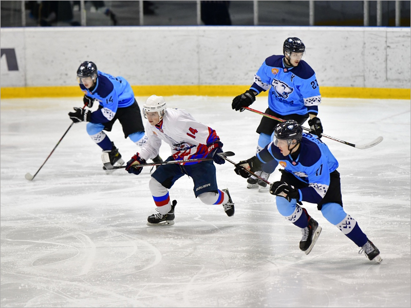Хоккейный «Брянск» ушёл на двухнедельную паузу после двух побед
