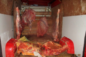 В Брянской области уничтожили 200 кг нелегально ввезенной говядины