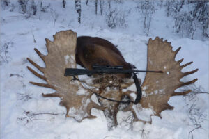Браконьер из Гордеевки за убитого лося получил условный срок и запрет на охоту