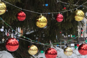 Власти Брянска поделились «графиком» праздничного открытия новогодних ёлок
